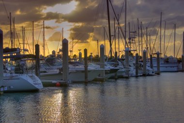 anahtar biscayne Crandon park marina