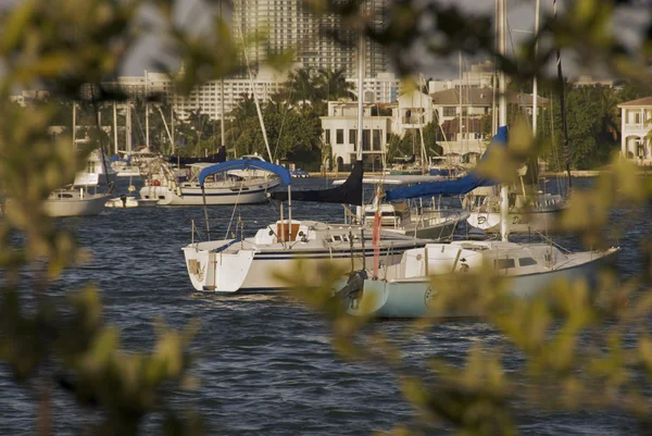 Boats in Biscane Bay — Stock fotografie