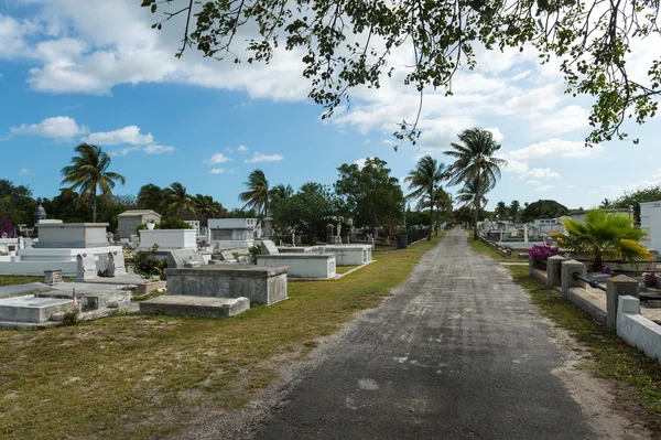 Key West Cemetery — Stock Photo, Image