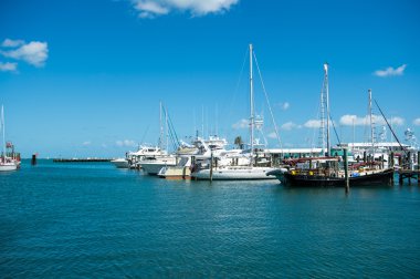 Key West Marina