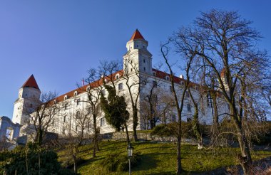 Bratislava castle ve park