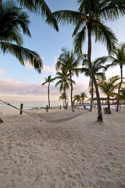 Hammock in the beach — Stock Photo, Image