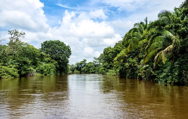 Frio rivier in costa rica jungle. — Stockfoto