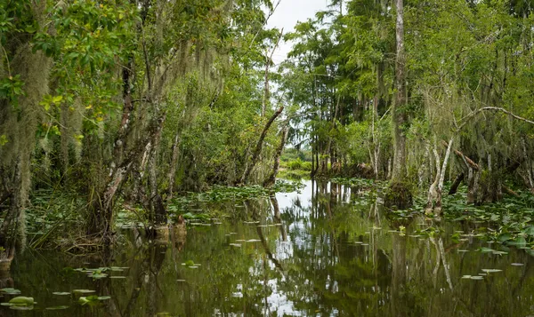 Fluss in den Waldlichtungen — Stockfoto