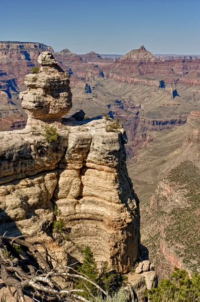 Vista vertical do Grand Canyon — Fotografia de Stock