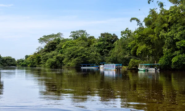 Frio River in Costa Rica — Stock Photo, Image