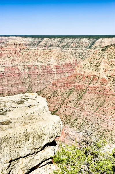 Grand canyon vertikala Visa — Stockfoto