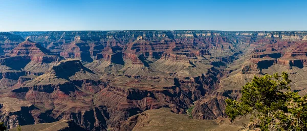South Rim Grand Canyon — Stock Photo, Image