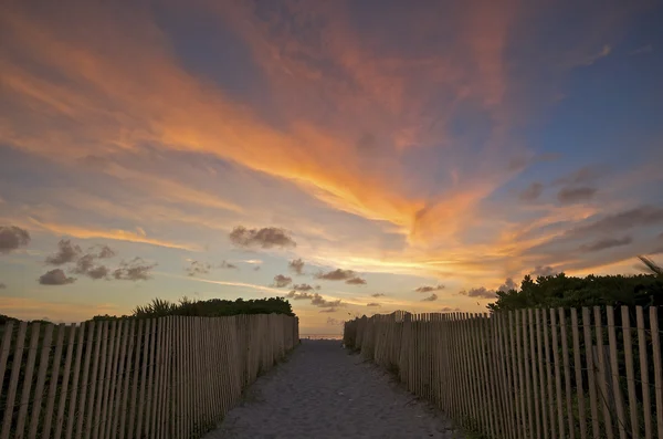 Path to Paradise — Stock Photo, Image