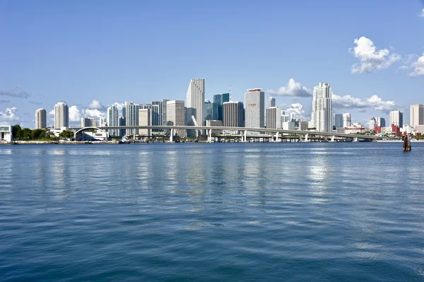 miami şehir manzarası