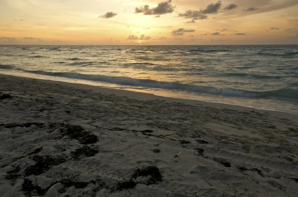 SoBe Sunrise — Stock Photo, Image