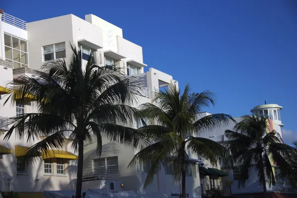 Palmen im Ozean, im Hintergrund historische Art-Deco-Gebäude — Stockfoto