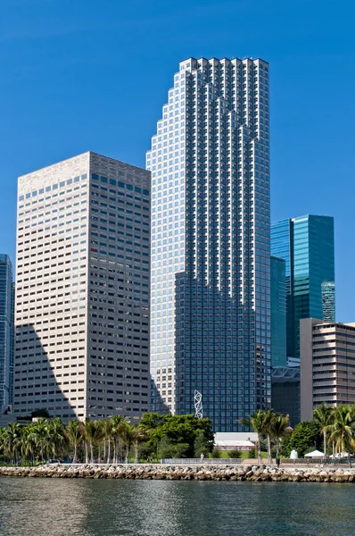 Edifícios em Downtown Miami — Fotografia de Stock