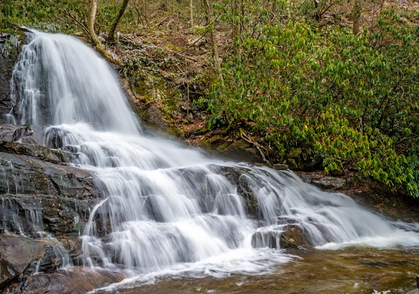 Laurel Falls en las montañas ahumadas —  Fotos de Stock