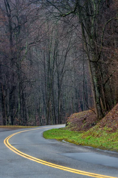 Ruta en Smoky Mountain — Foto de Stock