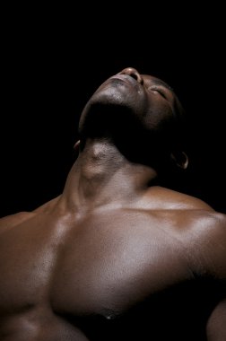 Pectorals