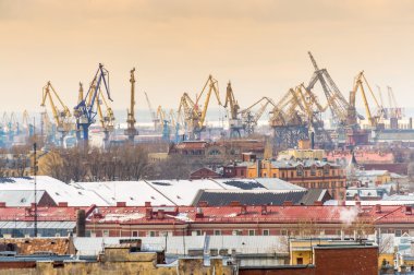 St. petersburg Vinçler