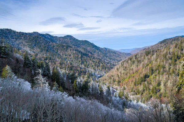 Smoky Mountains пейзажі Стокове Фото