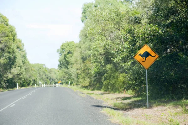 Kangaroo warning sign by road in Australia