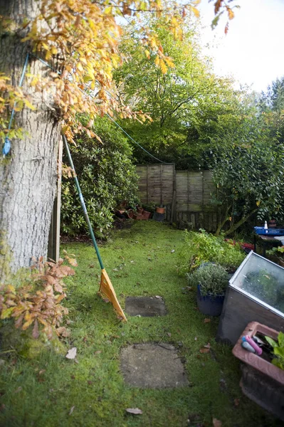 Small back yard with raked autumn leaves piled up on a green lawn against the wall of a garden shed