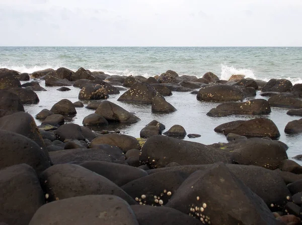 black rounded rocks on the shore
