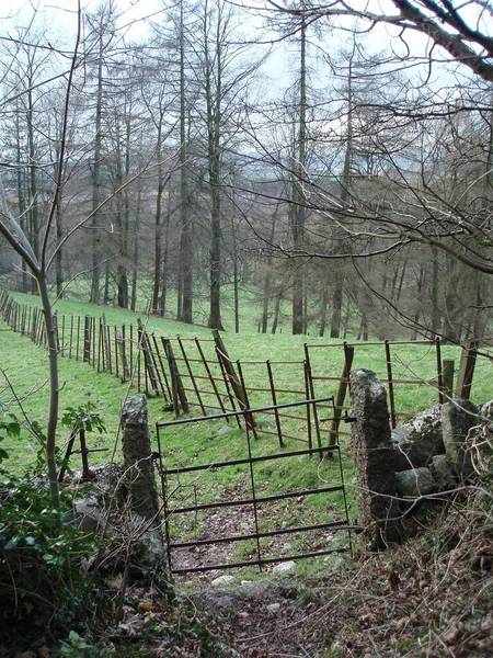 metal fence and gate in a field