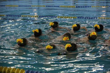 senkronize yüzme havuzunda kızların