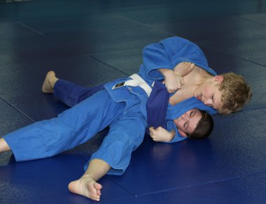kavga, judo