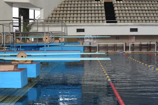 Moskova'da olimpik yüzme havuzunda donanımları için atlar