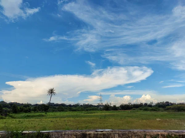 Stock photo of a Landscape with white clouds floating on blue sky and land covering with green grass. Iron light pole and coconut trees installed in the green grass field during rainy season in India.