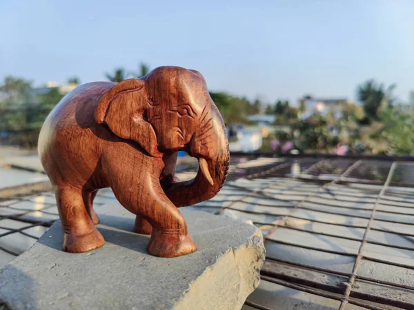 카르나타카의 바르가 나무를 코끼리 형상이나 우상의 있었다 선택적 — 스톡 사진
