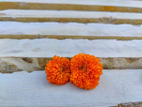 Zdjęcie Pomarańczowy Kolor Dwa Kwiat Marigold Przechowywane Białym Malowane Drewniane — Zdjęcie stockowe