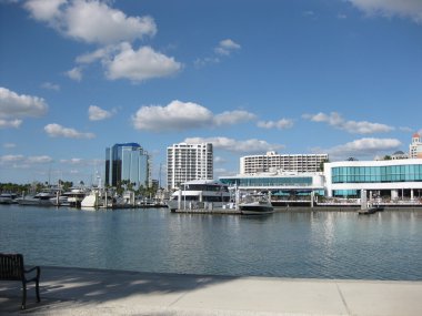 Sarasota Körfezi