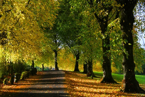 Herbstfarben — Stockfoto