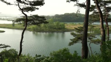 River forest at Tangeumdae Park, Chungju, South Korea