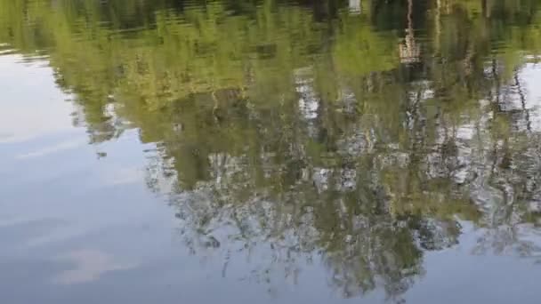 湖中的树木倒影 — 图库视频影像