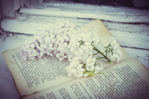 Le lilas se trouve sur le vieux livre vintage — Photo