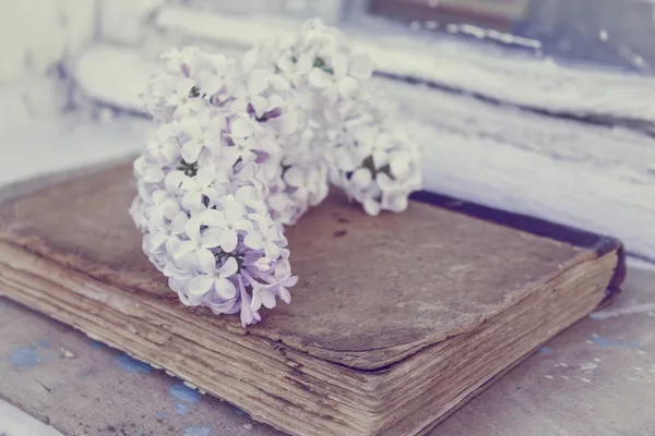 Leylak eski vintage kitap üzerinde yer alır.