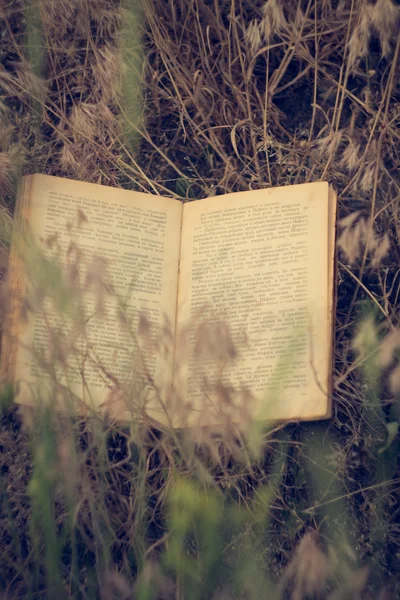 The vintage book lies on a log — Stock Photo, Image
