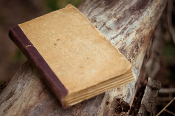 vintage kitap yalanlar üzerine bir günlük