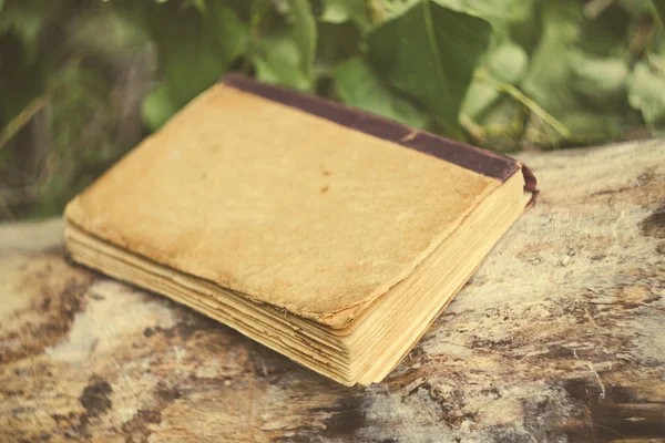 vintage kitap yalanlar üzerine bir günlük