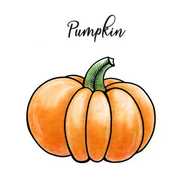 El boyası izole edilmiş suluboya dijital