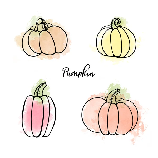 Handpainted Isolated Watercolour Digital Orange Pumpkins — Stock Photo, Image