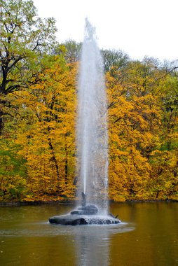 fontain ve orman manzarası
