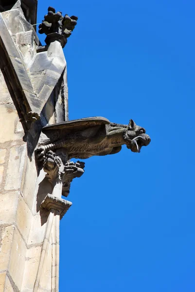 Gargoyle av st. vitus-katedralen, Prag — Stockfoto