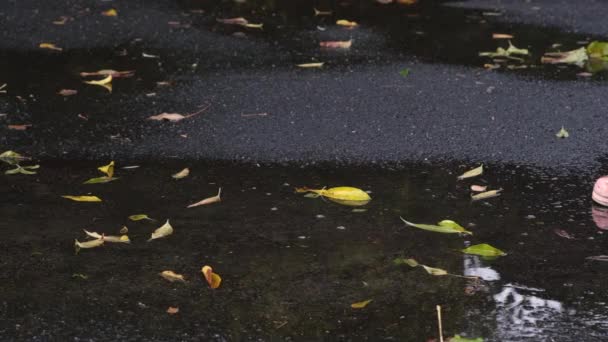 Mädchen oder Jugendliche in Gummistiefeln laufen auf nassem Asphalt, der mit Pfützen und herabgefallenem Laub bedeckt ist. Kinder und Herbst. Full-HD-Zeitlupenvideo — Stockvideo