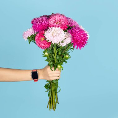 Mavi arka planda izole edilmiş büyük bir buket pembe ve beyaz astar. Sonbahar çiçeği buketi. Asterlar aşkı, bilgeliği ve inancı simgeler..