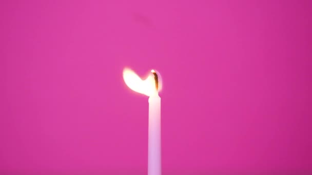 Een taart kaars branden op een roze achtergrond. Sluit af met het branden van roze of magenta taart kaars. Full HD resolutie slow motion gelukkige verjaardag of jubileum video — Stockvideo