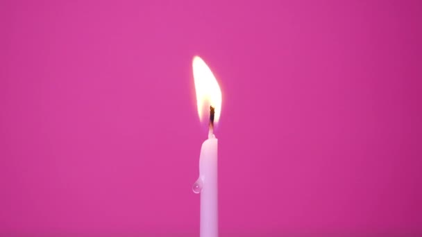 Soplando una vela de pastel ardiendo sobre un fondo rosa. Cerrar en soplar de rosa o magenta vela de pastel. Resolución Full HD cámara lenta feliz cumpleaños o aniversario de vídeo. — Vídeo de stock