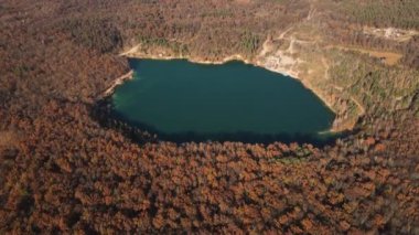 Yüksek Drone Manzarası açık turkuaz mavi göl ve güzel sonbahar ormanı Altın ağaçlar ve göl manzarası